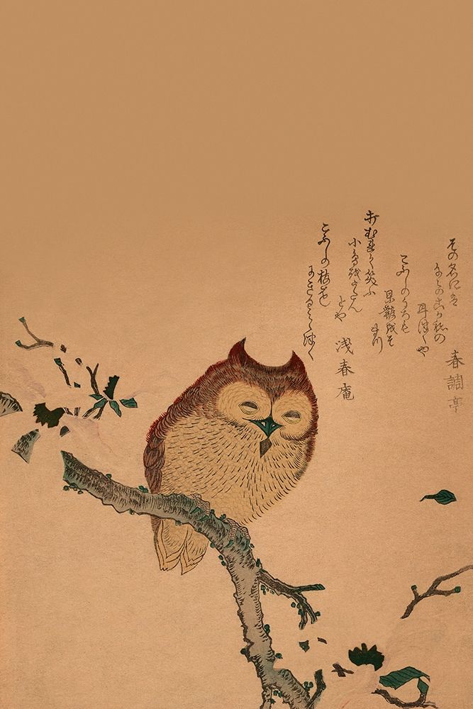 Owl of Branch art print by Unknown for $57.95 CAD