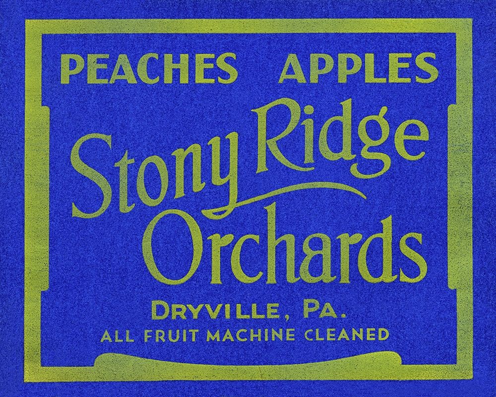 Stony Ridge Orchards Peaches and Apples art print by Unknown for $57.95 CAD