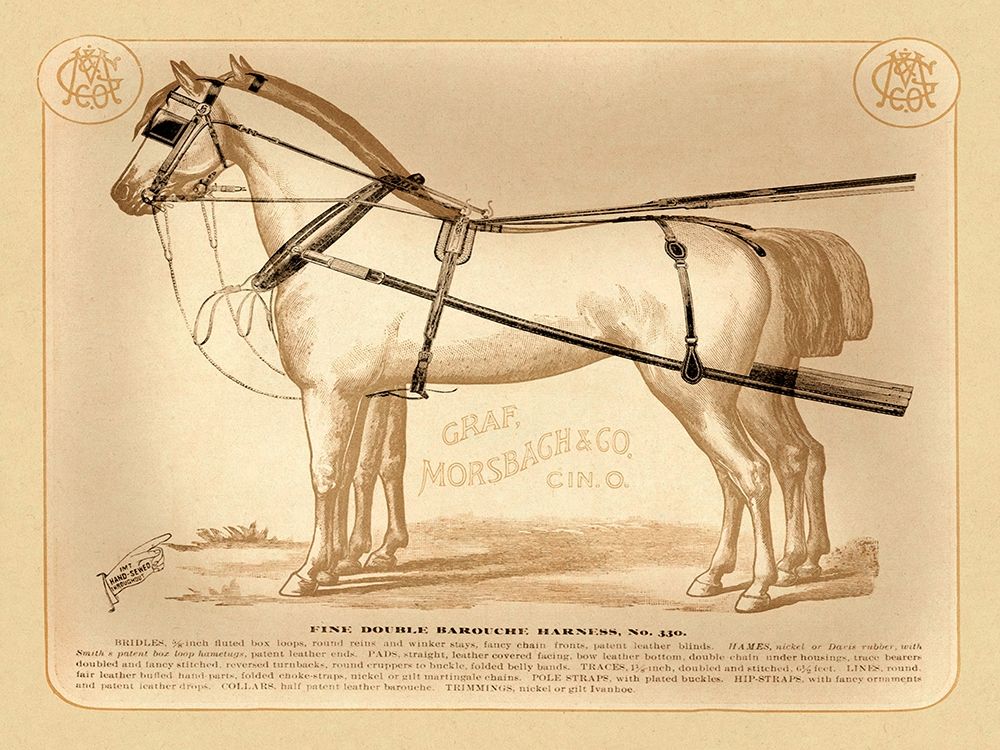 Saddles and Tack: Fine Double Barouche Harness art print by Unknown for $57.95 CAD