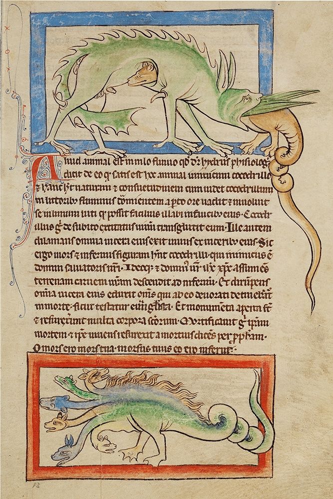 A Hydrus; A Hydra art print by English 13th Century for $57.95 CAD
