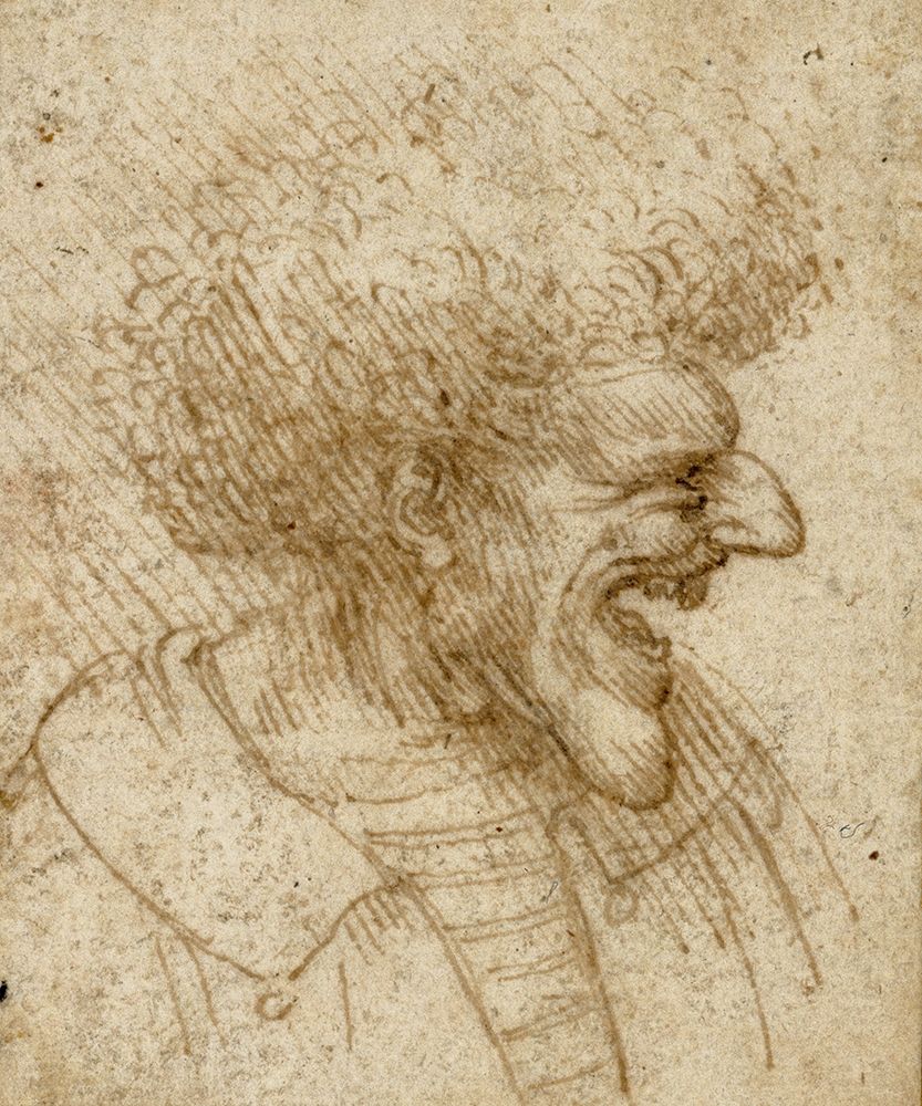 Caricature of a Man with Bushy Hair art print by Leonardo da Vinci for $57.95 CAD
