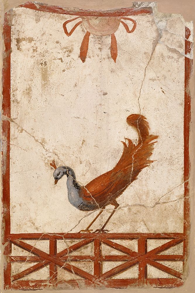 Wall Fragment with a Peacock art print by Unknown 1st Century Roman Artisan for $57.95 CAD