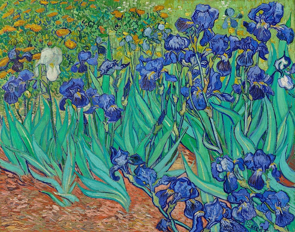 Irises (1889) art print by Vincent Van Gogh for $57.95 CAD
