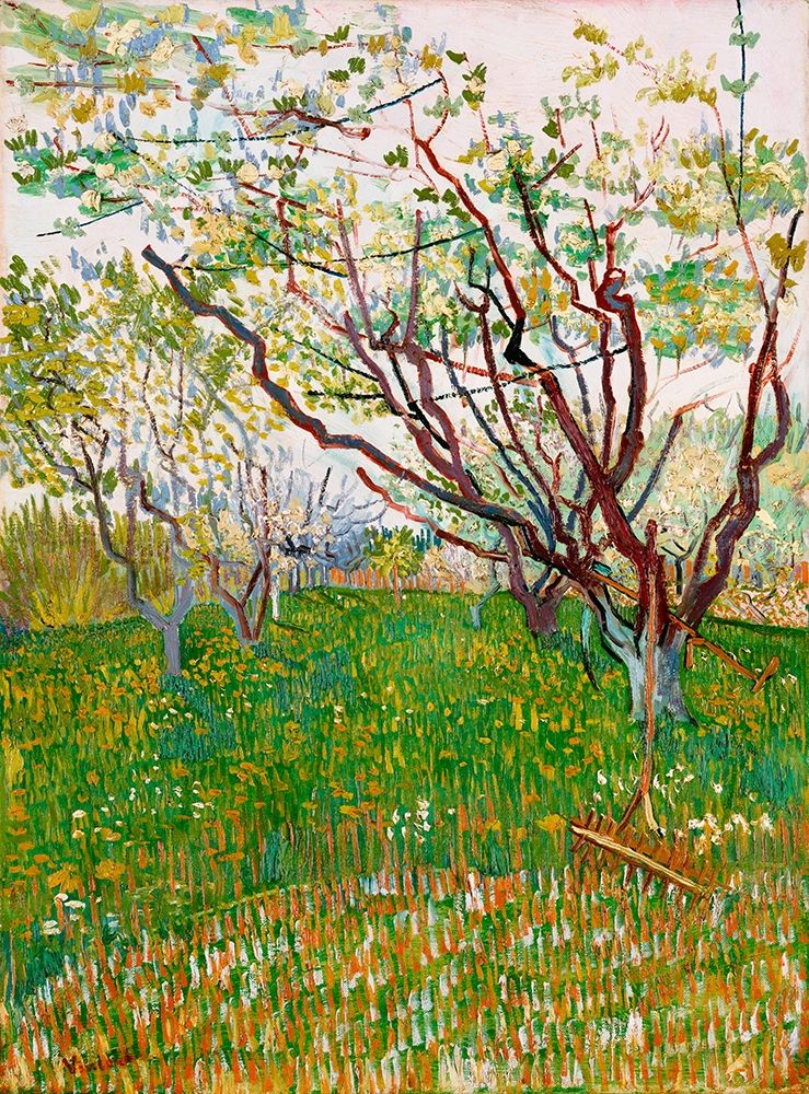 The Flowering Orchard (1888) art print by Vincent Van Gogh for $57.95 CAD