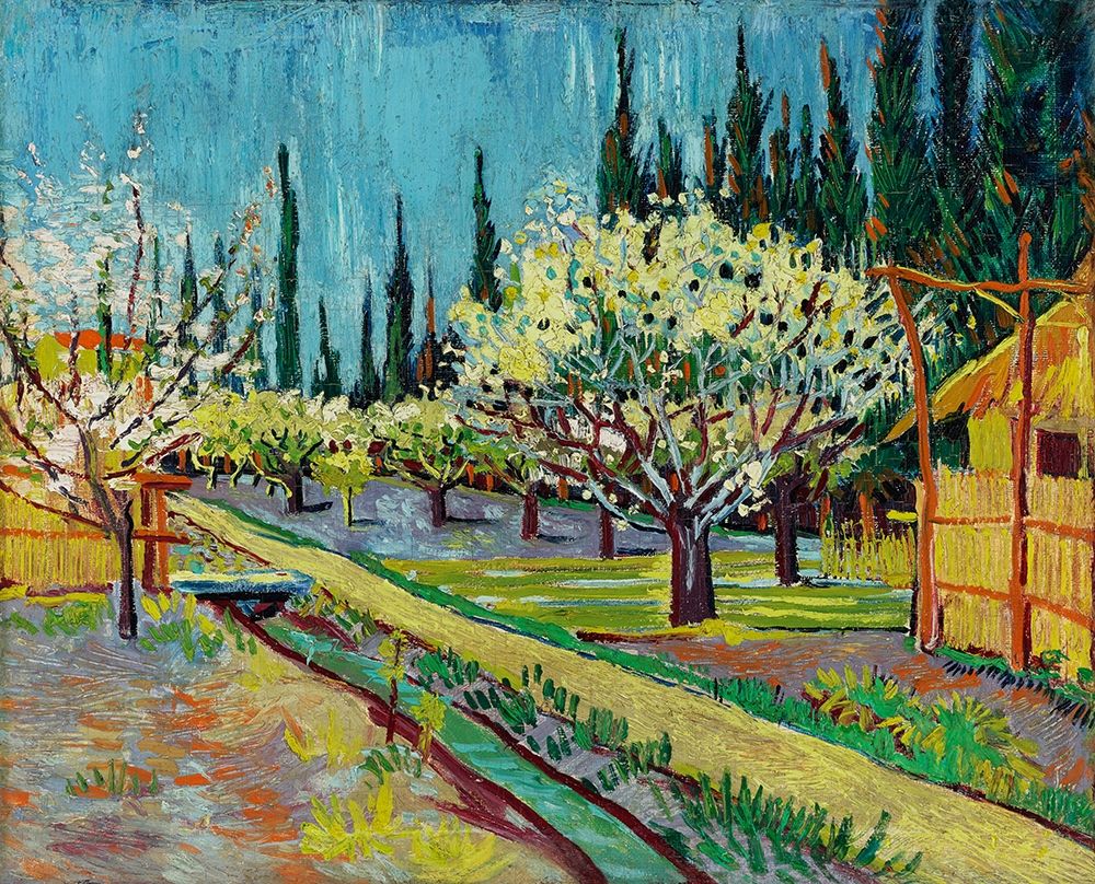 Orchard Bordered by Cypresses (1888) art print by Vincent Van Gogh for $57.95 CAD