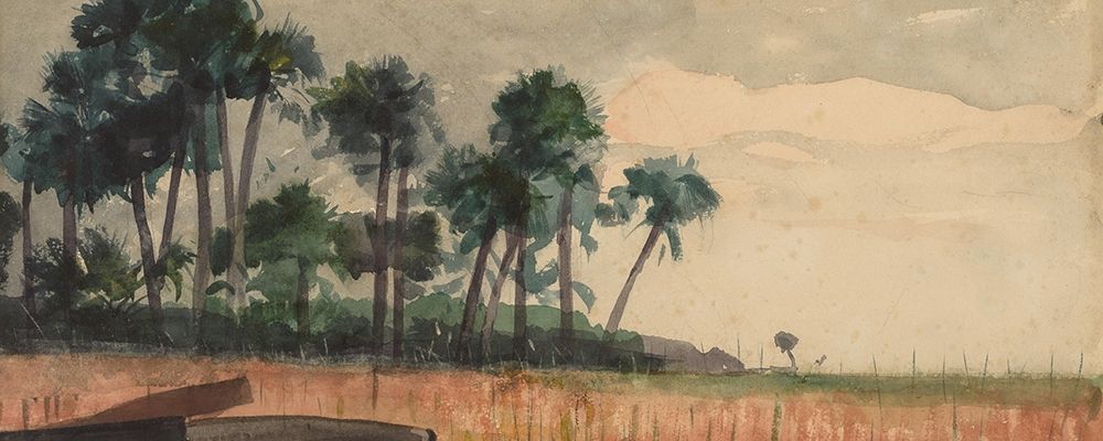 Palm Trees, Red art print by Winslow Homer for $57.95 CAD