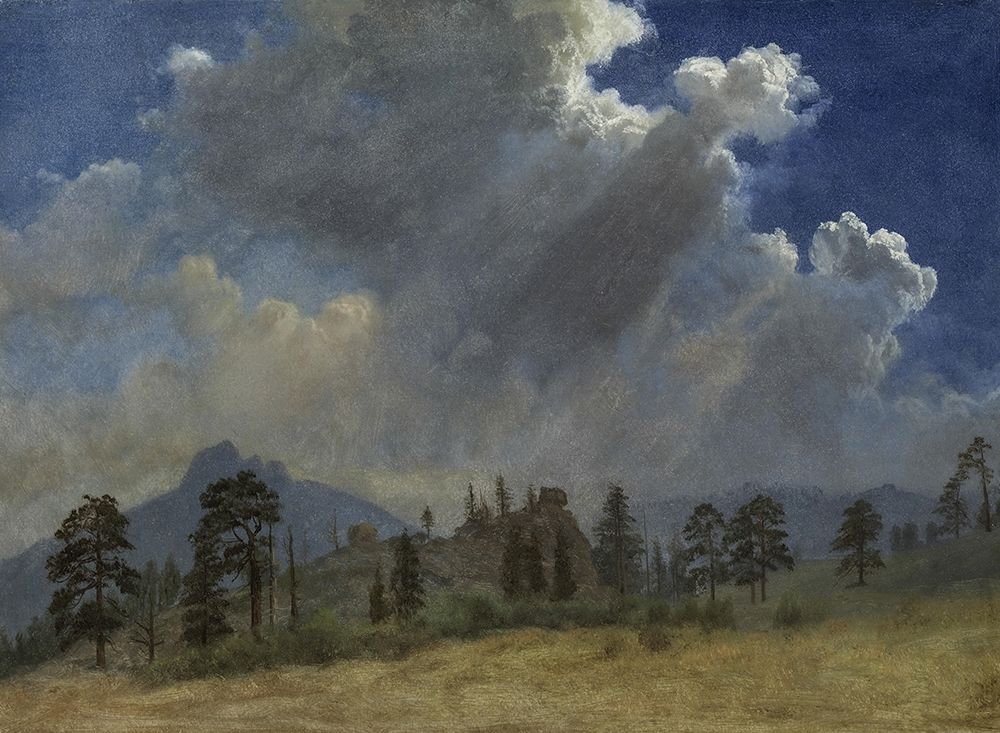 Fir Trees and Storm Clouds art print by Albert Bierstadt for $57.95 CAD