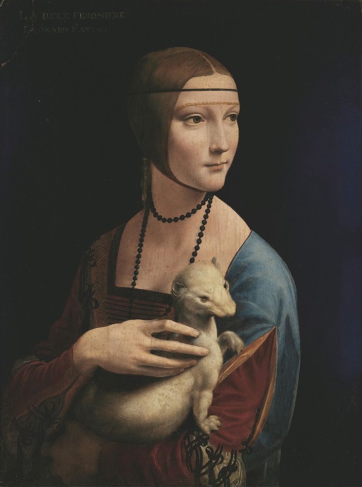 Lady with an Ermine art print by Leonardo da Vinci for $57.95 CAD