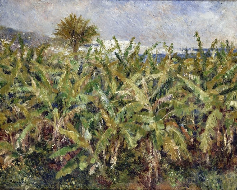 Field of Banana Trees art print by Pierre-Auguste Renoir for $57.95 CAD