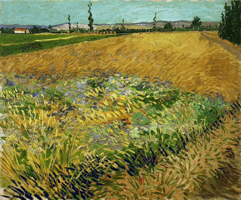 Wheatfield art print by Vincent van Gogh for $57.95 CAD