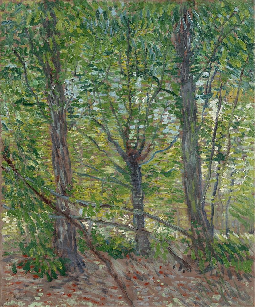 Trees art print by Vincent van Gogh for $57.95 CAD