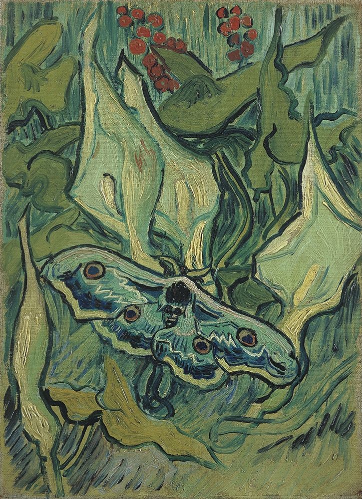 Emperor moth art print by Vincent van Gogh for $57.95 CAD