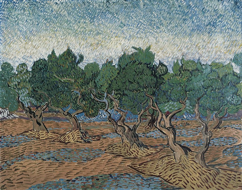 Olive grove art print by Vincent van Gogh for $57.95 CAD
