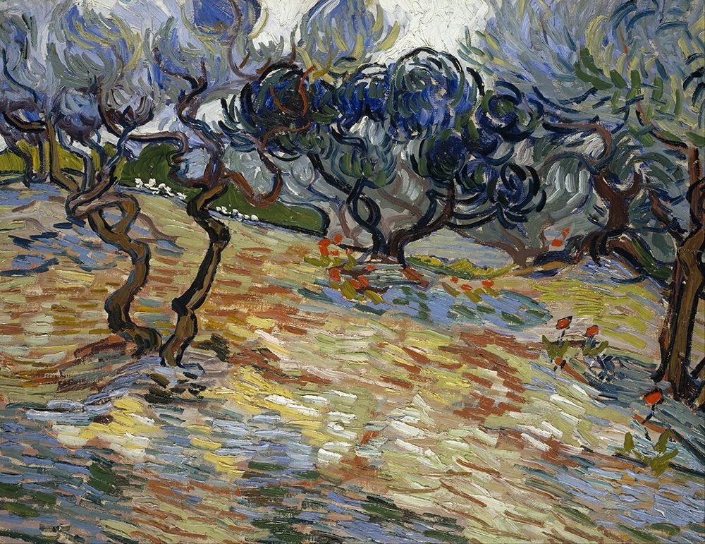 Olive Trees, Bright blue sky art print by Vincent van Gogh for $57.95 CAD