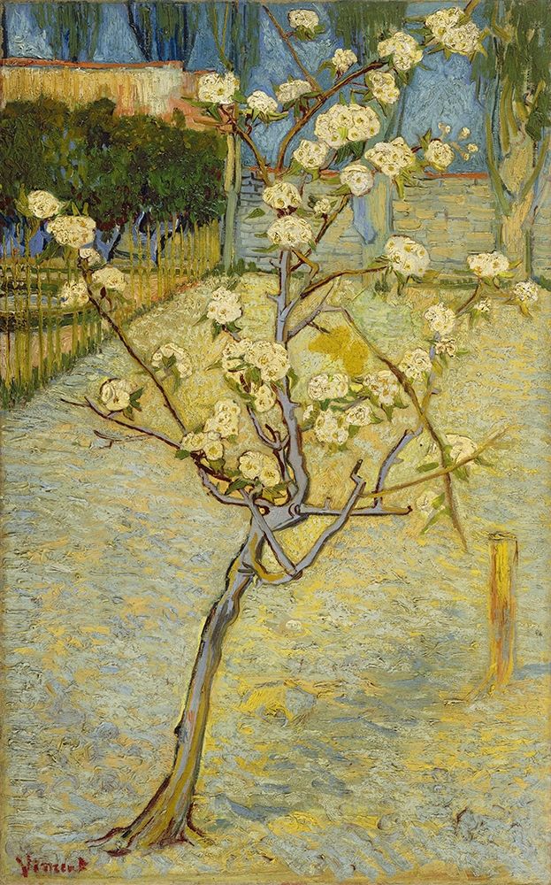 Small pear tree in blossom art print by Vincent van Gogh for $57.95 CAD