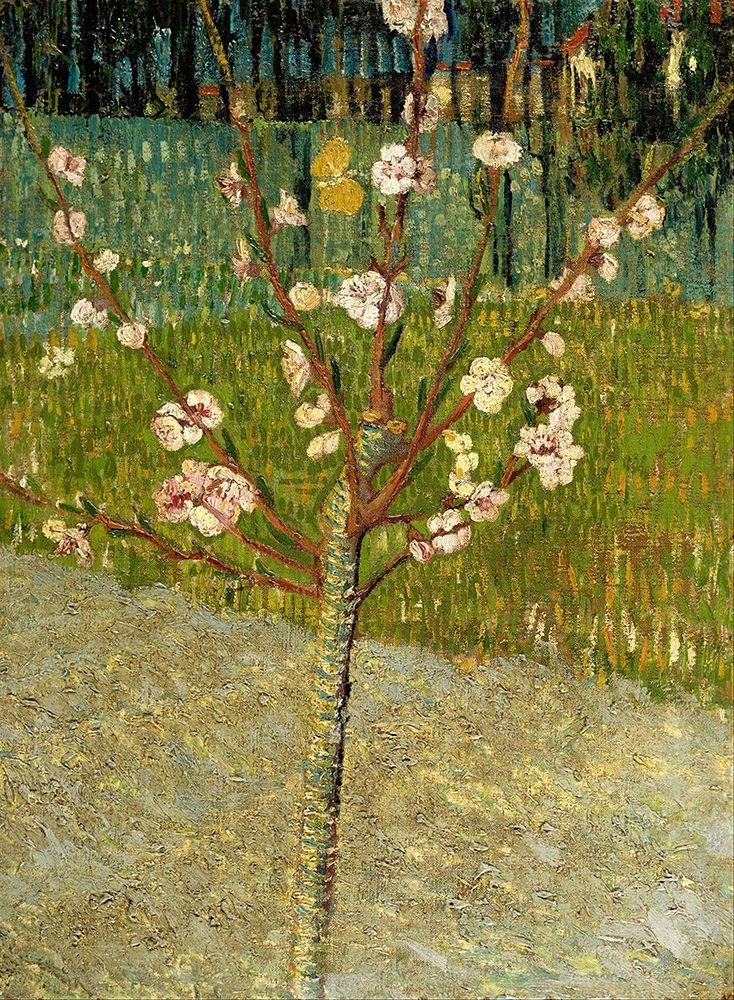 Almond tree in blossom art print by Vincent van Gogh for $57.95 CAD