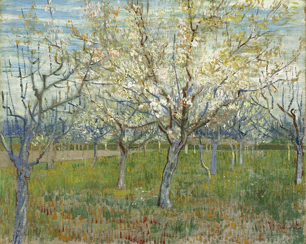 Orchard with Blooming Apricot Trees art print by Vincent van Gogh for $57.95 CAD