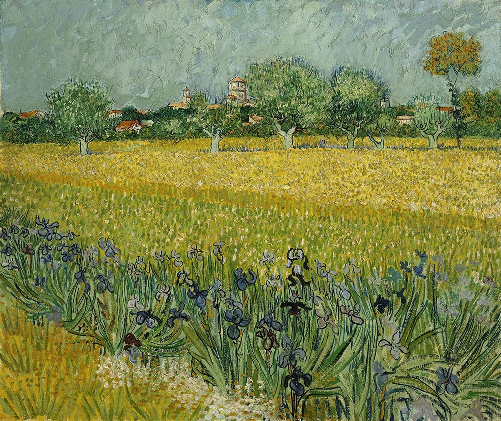 Field with flowers near Arles art print by Vincent van Gogh for $57.95 CAD