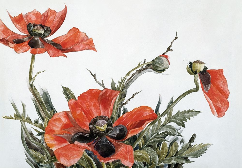 Red Poppies art print by Charles Demuth for $57.95 CAD