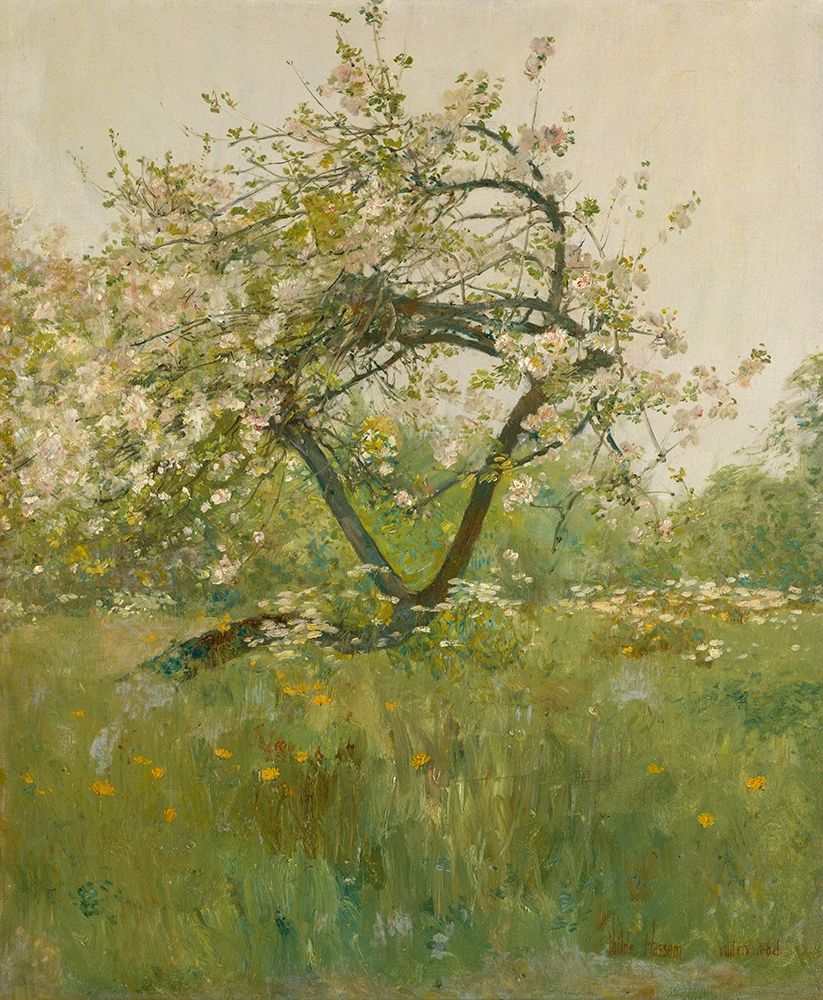 Peach Blossoms Villiers le Bel art print by Childe Hassam for $57.95 CAD