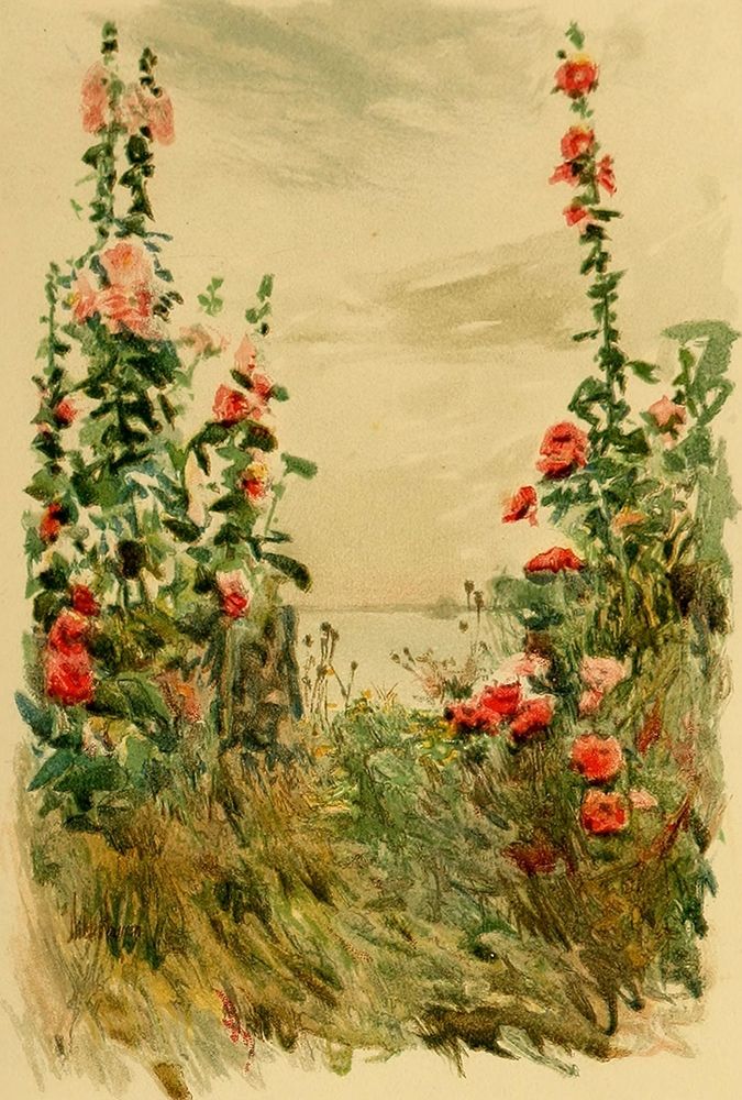 Hollyhocks art print by Childe Hassam for $57.95 CAD