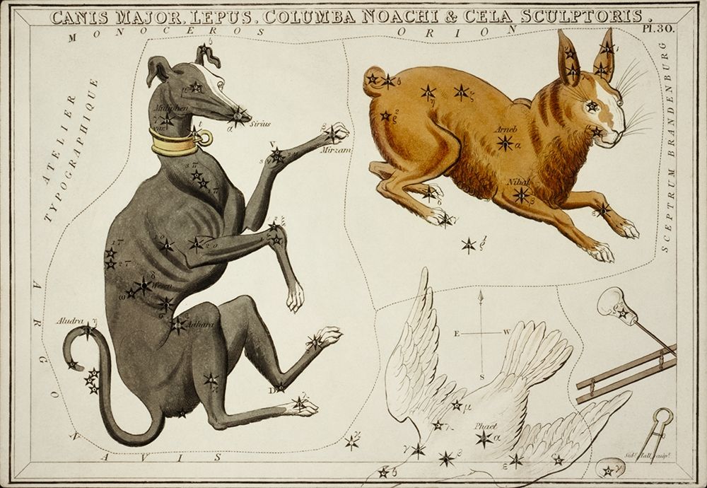 Astronomical chart illustration of the Canis Major-Lepus-Columba Noachi and the Cela Sculptoris art print by Sidney Hall for $57.95 CAD