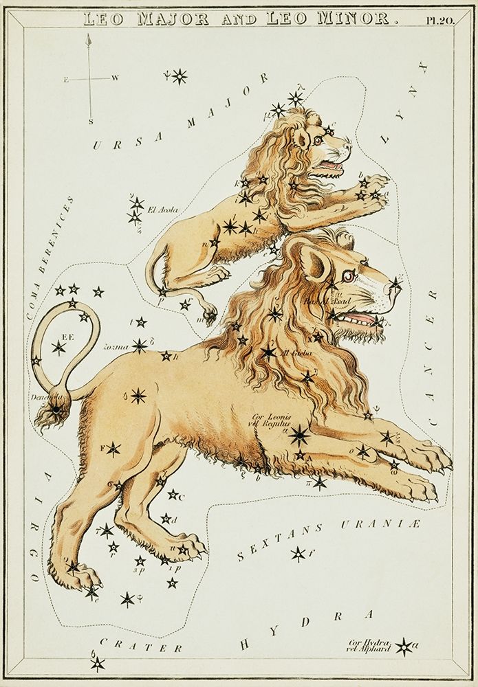 Astronomical chart illustration of the Leo Major and the Leo Minor art print by Sidney Hall for $57.95 CAD