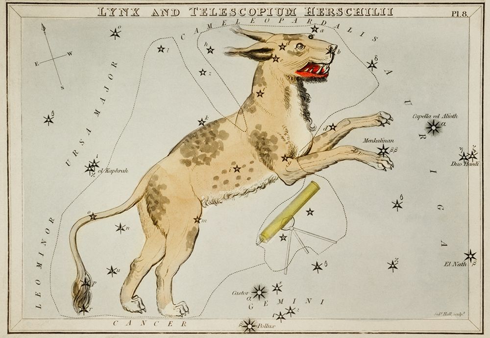 Astronomical chart illustration of Lynx and the Telescopium Herschilii art print by Sidney Hall for $57.95 CAD