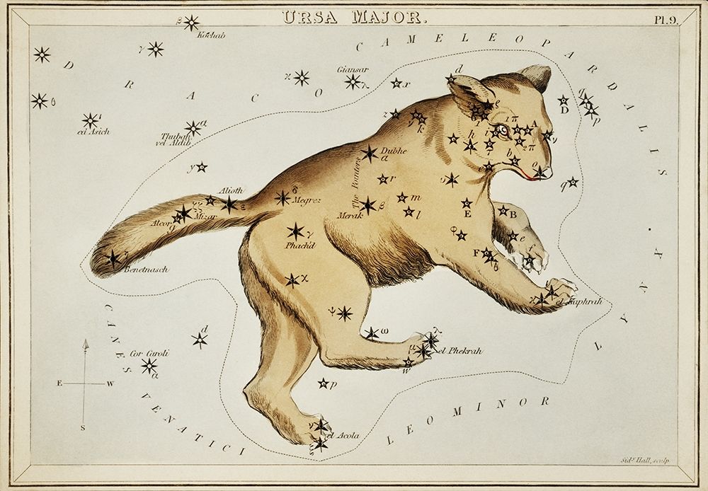 Astronomical chart illustration of the Ursa Major art print by Sidney Hall for $57.95 CAD
