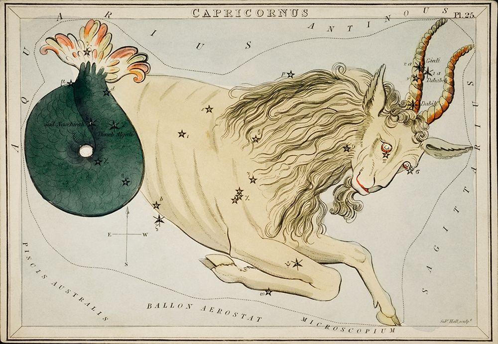 Astronomical chart illustration of the Zodiac Capricornus art print by Sidney Hall for $57.95 CAD