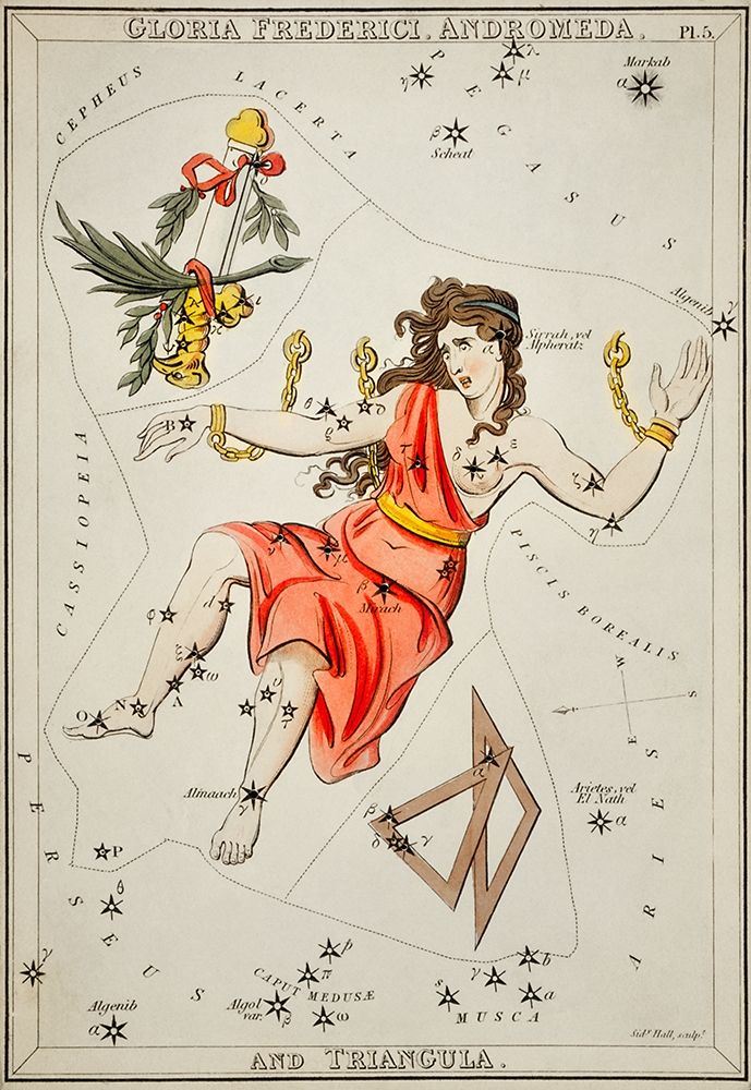 Astronomical chart illustration of Gloria Frederici-Andromeda art print by Sidney Hall for $57.95 CAD