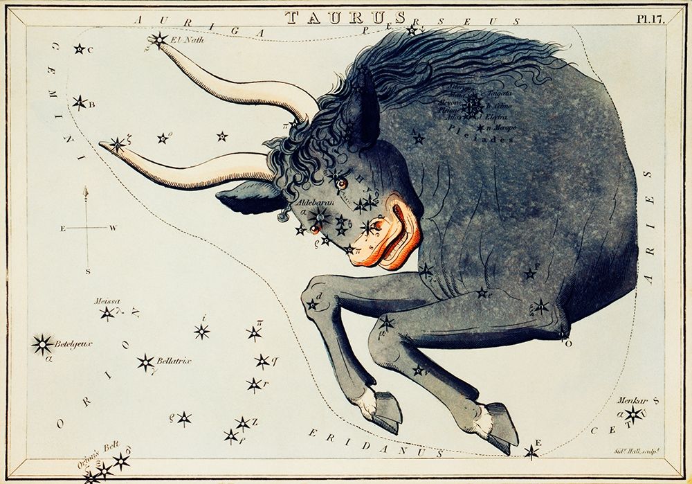 Astronomical chart illustration of the Taurus art print by Sidney Hall for $57.95 CAD
