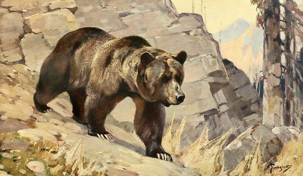 Grizzly Bear art print by Carl Rungius for $57.95 CAD