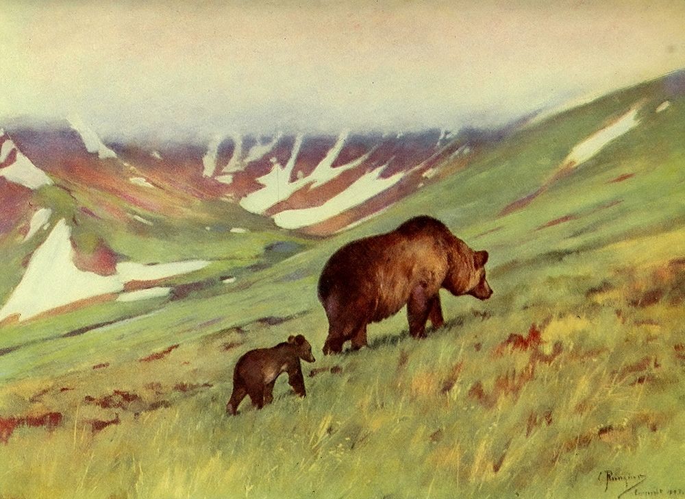 Bears walking in Basin art print by Carl Rungius for $57.95 CAD