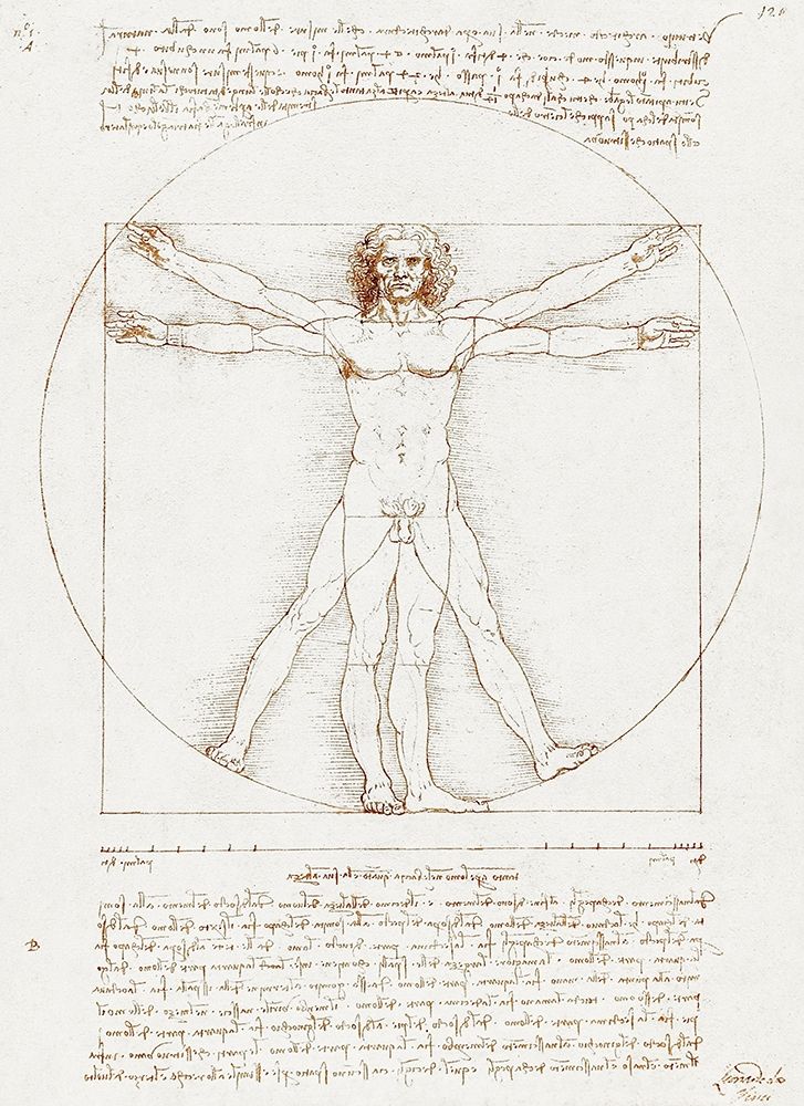 Vitruvian Man art print by Leonardo da Vinci for $57.95 CAD