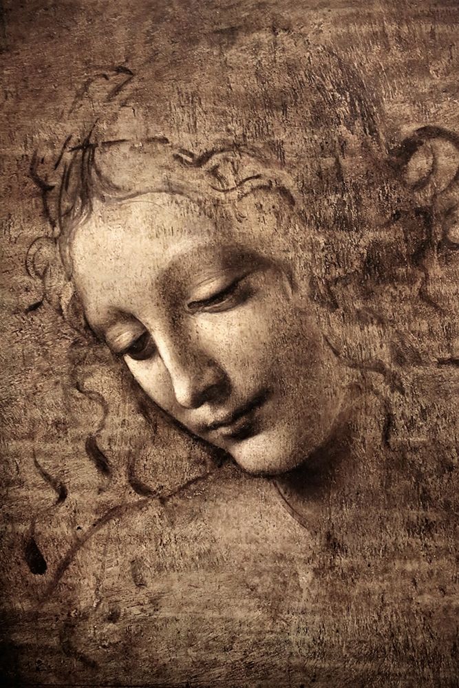 La Scapigliata art print by Leonardo da Vinci for $57.95 CAD