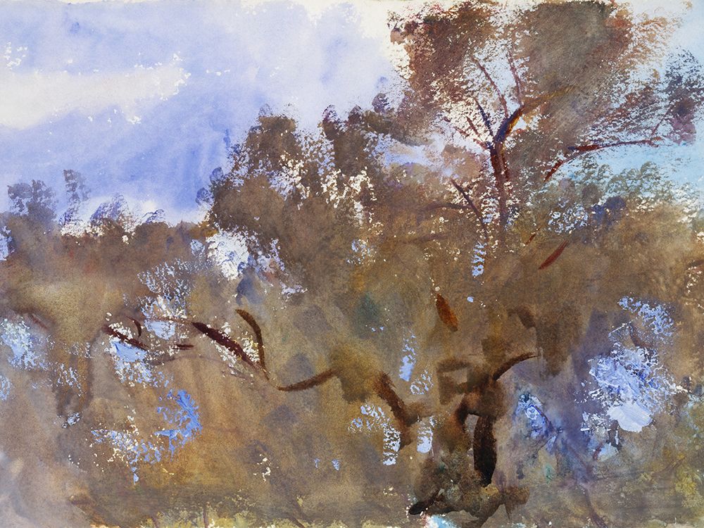 Treetops against Sky art print by John Singer Sargent for $57.95 CAD