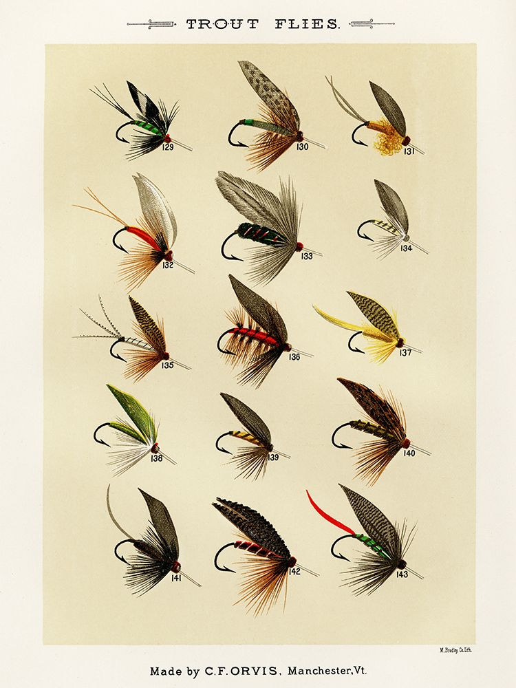 Trout Fishing Flies I from Favorite Flies and Their Histories art print by Mary Orvis Marbury for $57.95 CAD