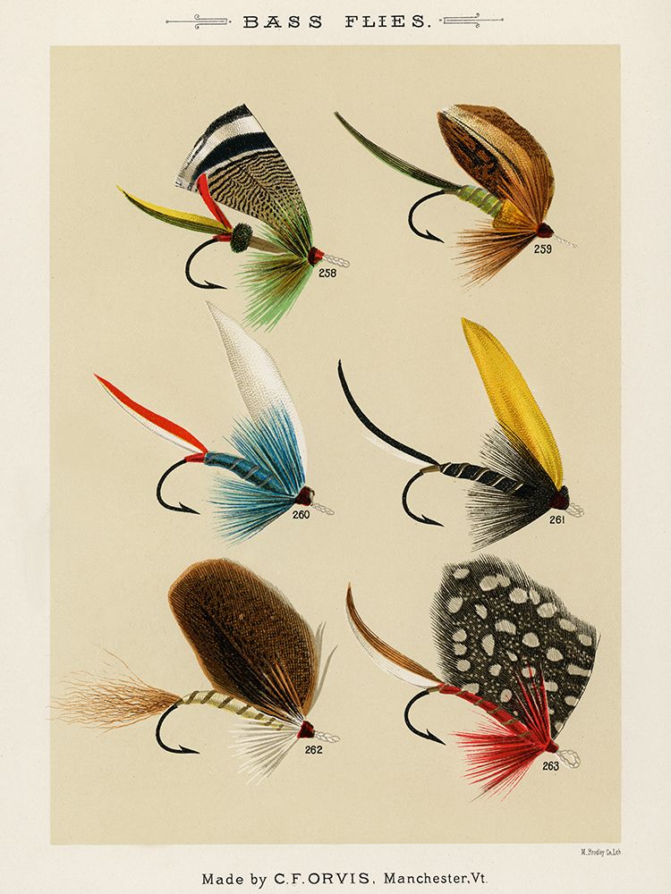 Bass Fishing Flies I from Favorite Flies and Their Histories art print by Mary Orvis Marbury for $57.95 CAD