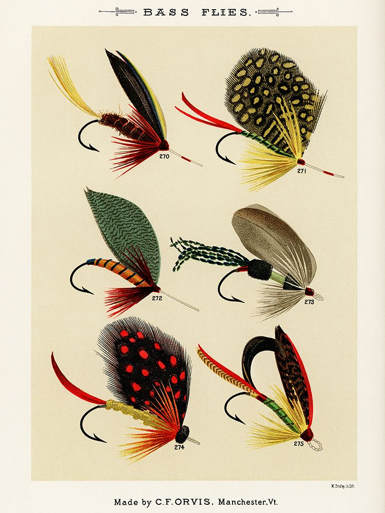 Bass Fishing Flies II from Favorite Flies and Their Histories art print by Mary Orvis Marbury for $57.95 CAD