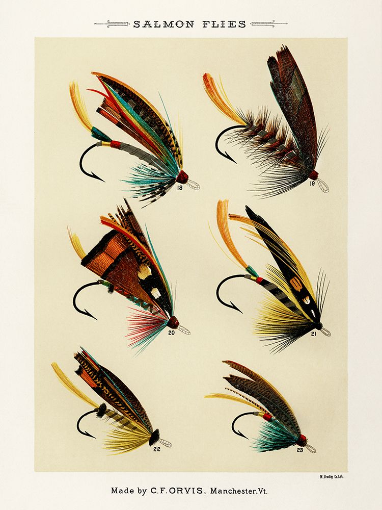 Salmon Fishing Flies II from Favorite Flies and Their Histories art print by Mary Orvis Marbury for $57.95 CAD