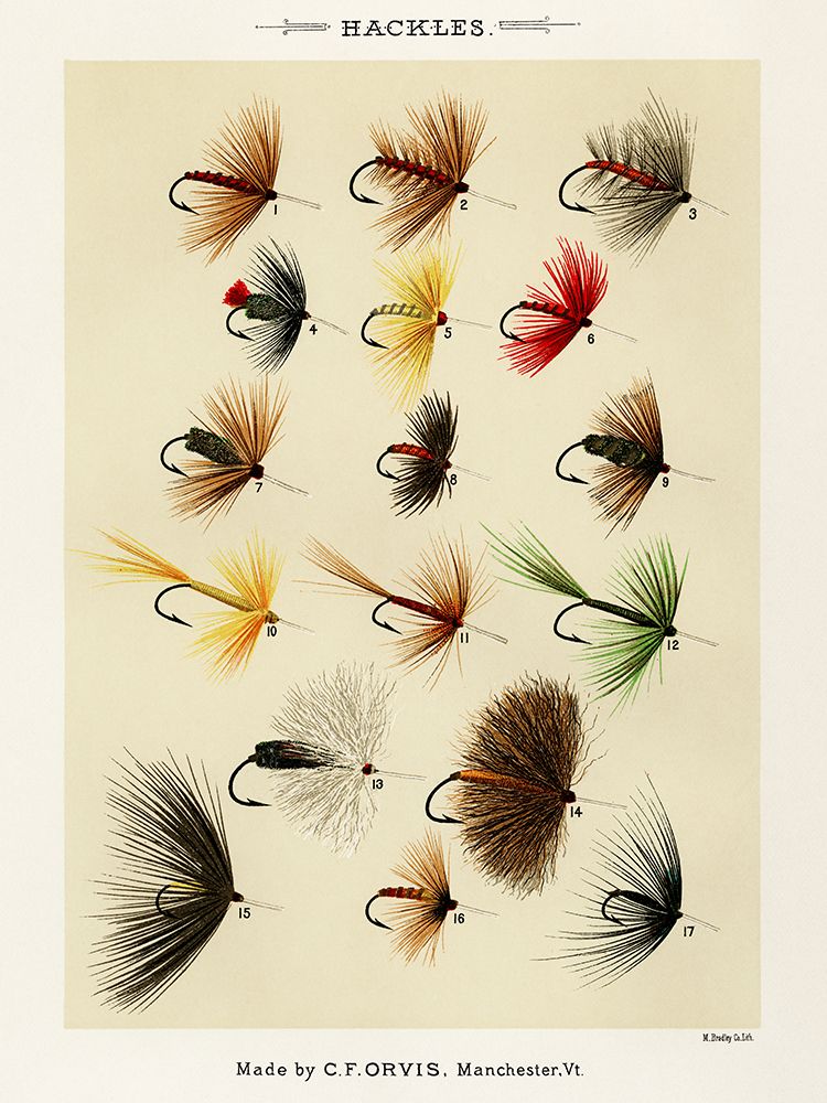Hackles from Favorite Flies and Their Histories art print by Mary Orvis Marbury for $57.95 CAD