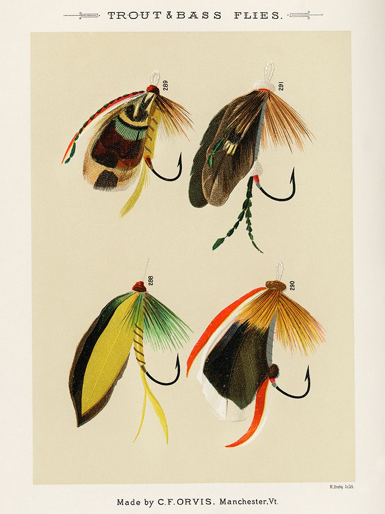 Trout And Bass Fishing Flies from Favorite Flies and Their Histories art print by Mary Orvis Marbury for $57.95 CAD