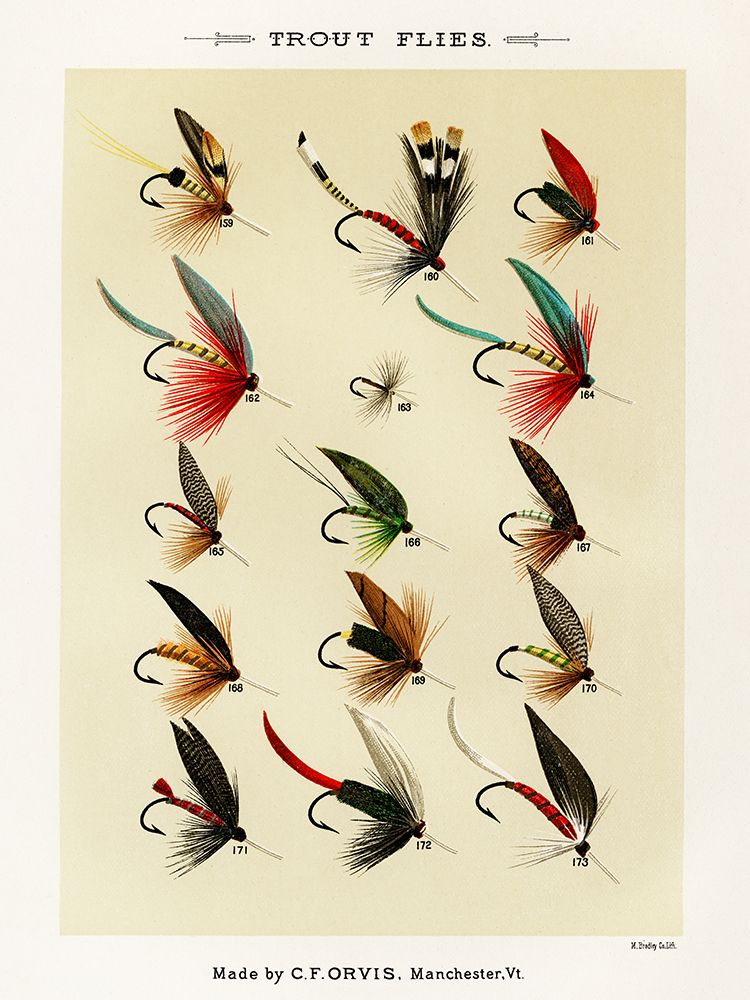 Trout Fishing Flies II from Favorite Flies and Their Histories art print by Mary Orvis Marbury for $57.95 CAD