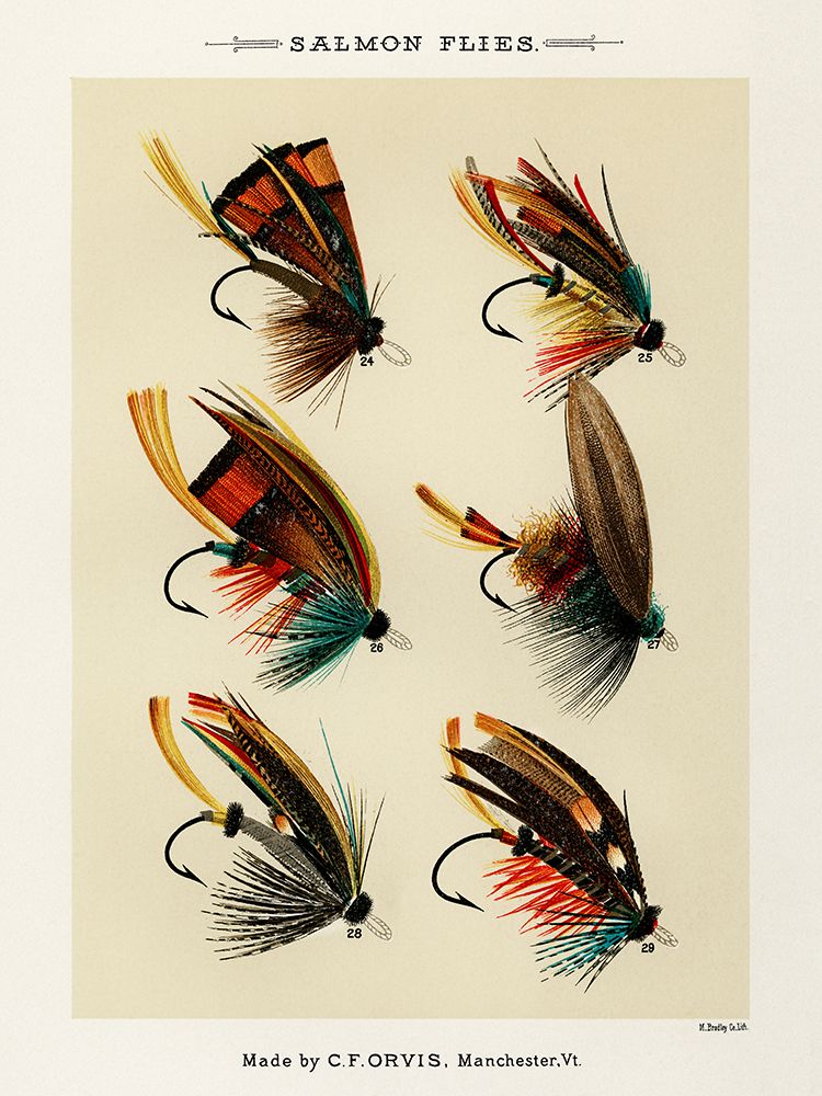 Salmon Fishing Flies III from Favorite Flies and Their Histories art print by Mary Orvis Marbury for $57.95 CAD