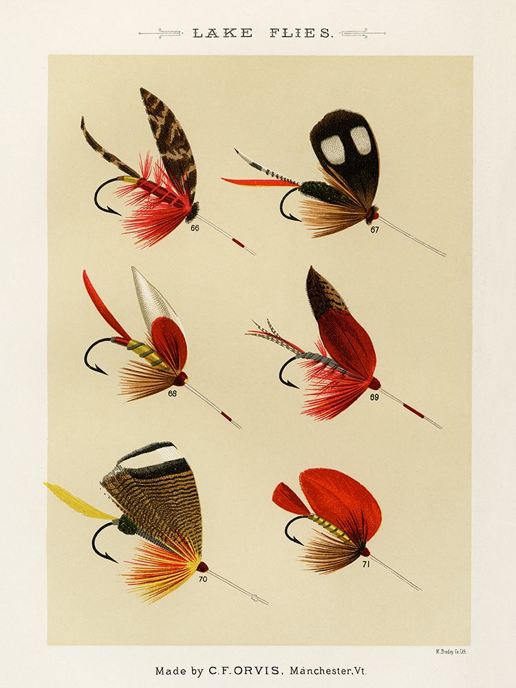 Lake Fishing Flies I from Favorite Flies and Their Histories art print by Mary Orvis Marbury for $57.95 CAD