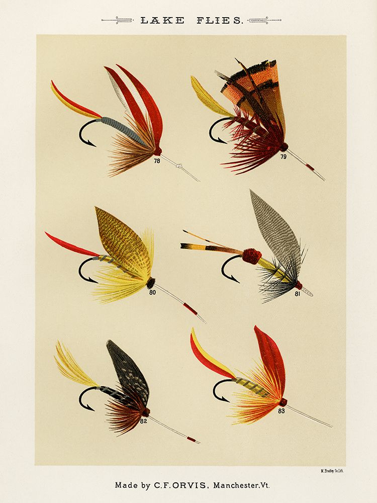 Lake Fishing Flies II from Favorite Flies and Their Histories art print by Mary Orvis Marbury for $57.95 CAD