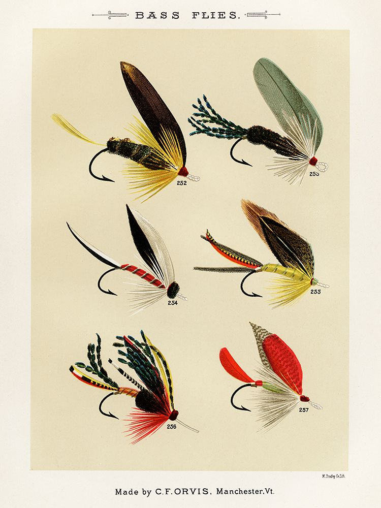 Bass Fishing Flies IV from Favorite Flies and Their Histories art print by Mary Orvis Marbury for $57.95 CAD