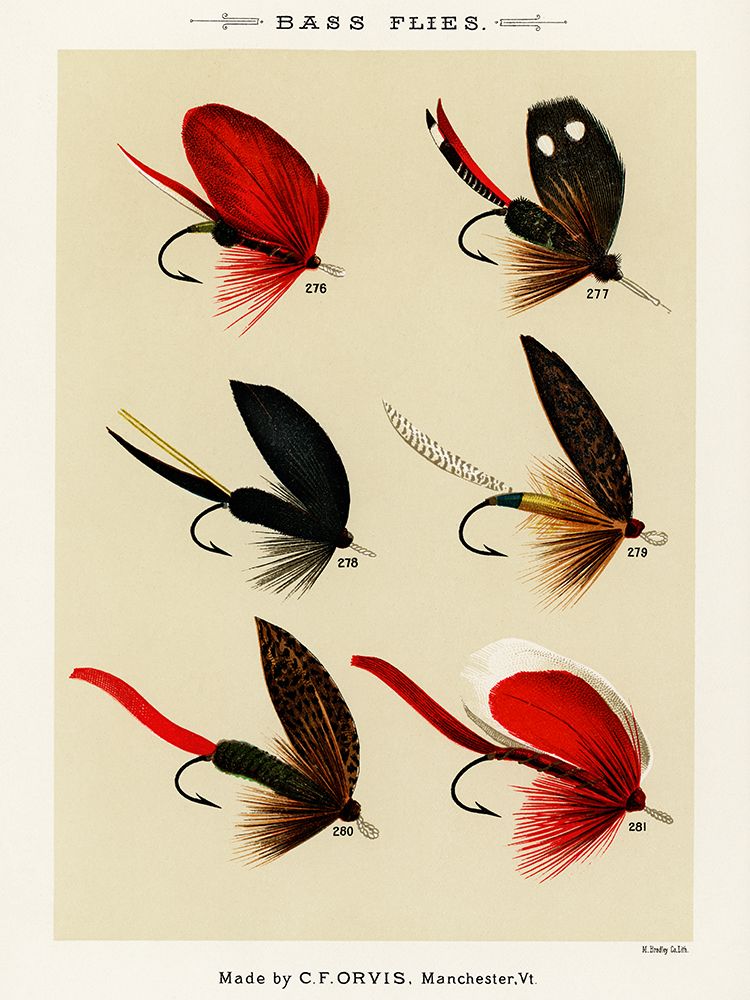 Bass Fishing Flies V from Favorite Flies and Their Histories art print by Mary Orvis Marbury for $57.95 CAD