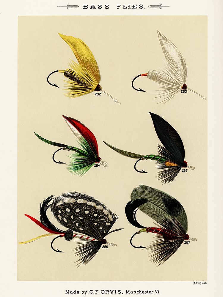 Bass Fishing Flies VI from Favorite Flies and Their Histories art print by Mary Orvis Marbury for $57.95 CAD